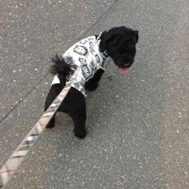 Adadfff0 3c78 47e4 a05e 27e6be4a5f16