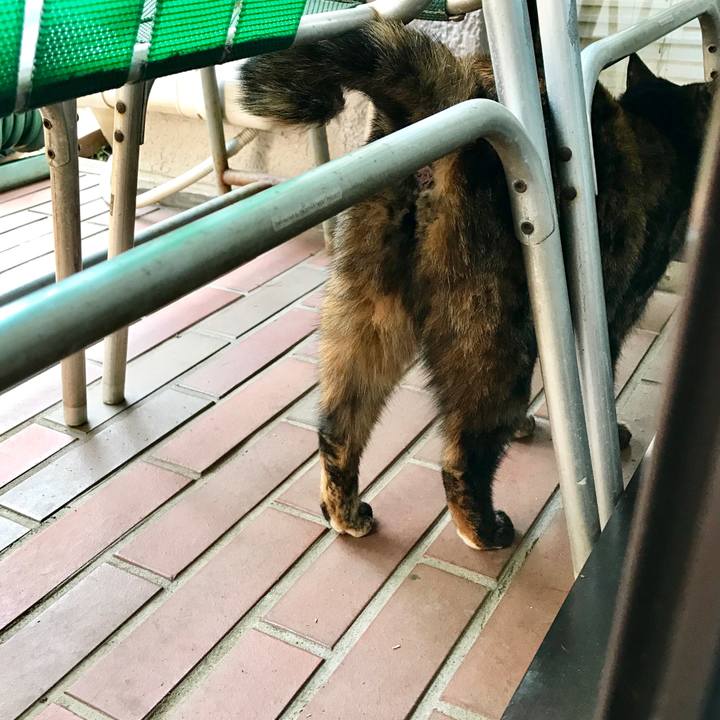 Adae220f 591a 41be 9c9a b713223ee899