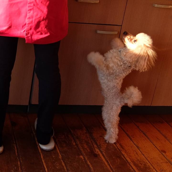 Adaf44e5 d0a9 4ab4 a701 a30627e1b653