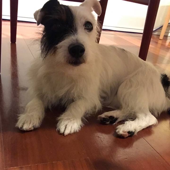 Adaf54bc 739f 41ba b0bd f4550cb50b4f