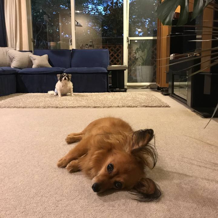 Adafa000 1825 4b4d a4e1 53f22720bad8