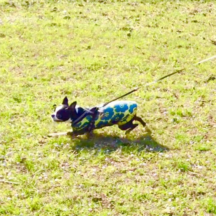 Adaffd49 34e9 44a9 af5f 2d05403f2fb6