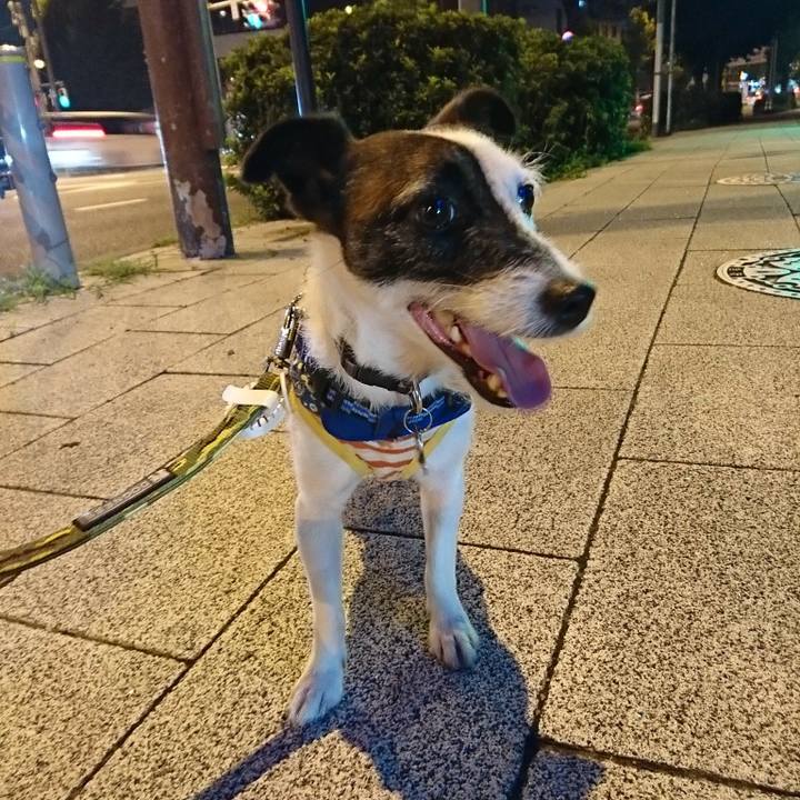 Adb0b15a 695d 43b2 b3ed f4bd75c2f4ce