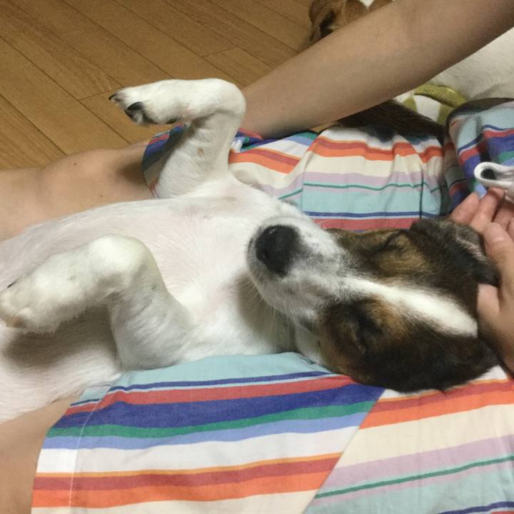 Adb10e32 bdad 45a7 9962 ff94de65b534