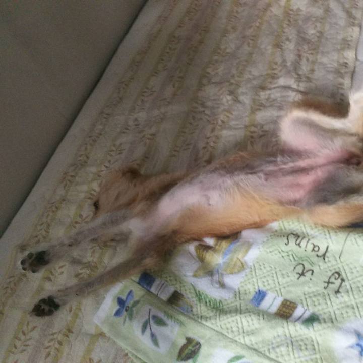 Adb1c2fd ab60 4c8f 8b7b 376a850d8679