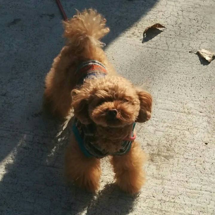 Adb27fbb ff19 45b3 8d5f 7da0282d431b