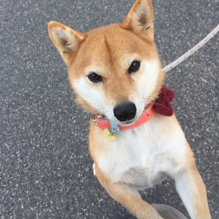 Adb3995e 4718 4033 a780 ba9834b33ca6