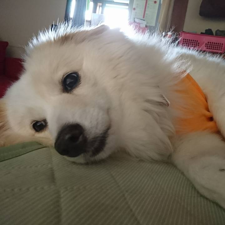 Adb3ef78 5a77 413a 9c27 52a682a0f44a