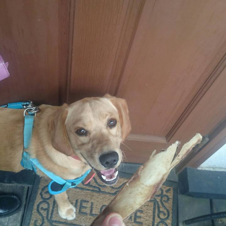 Adb4095c b7b9 4c6e bc94 7ea20871c8e7