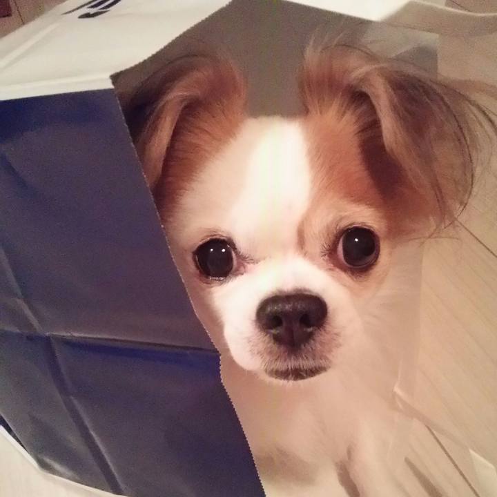 Adb44235 3b9f 497b 848c 8a8506eb6da3