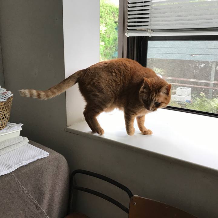 Adb46a6e 7105 4764 9aed 19cc3f963ee7