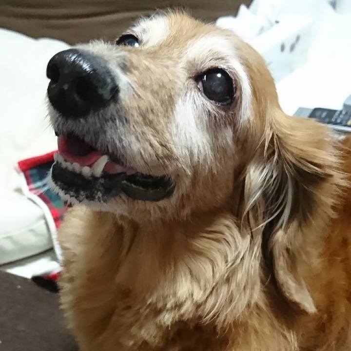 Adb4dfb8 20d5 4ea1 bec9 d8e68ffb56fa