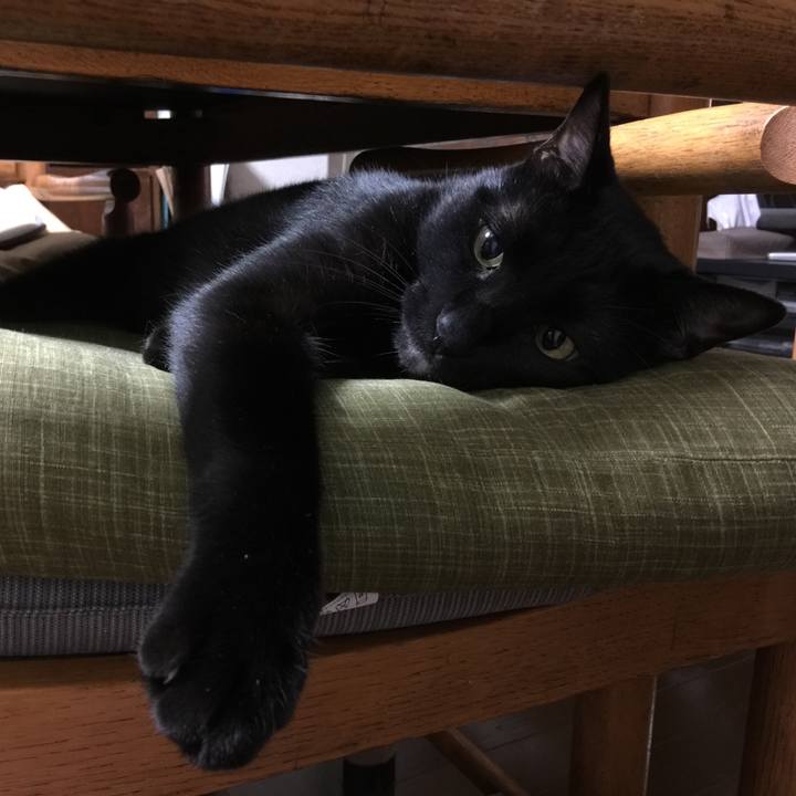 Adb50d8f 3a7a 4233 b5c3 3b4596124e85