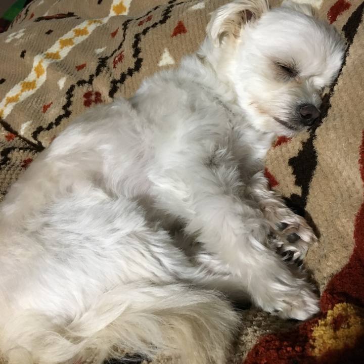 Adb5f741 d3c8 4d65 b197 7c76f3d7c32d