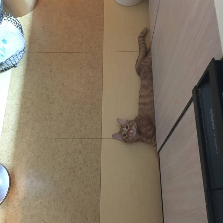 Adb5f8bf 5acd 4f11 b488 cbeb97e7e731