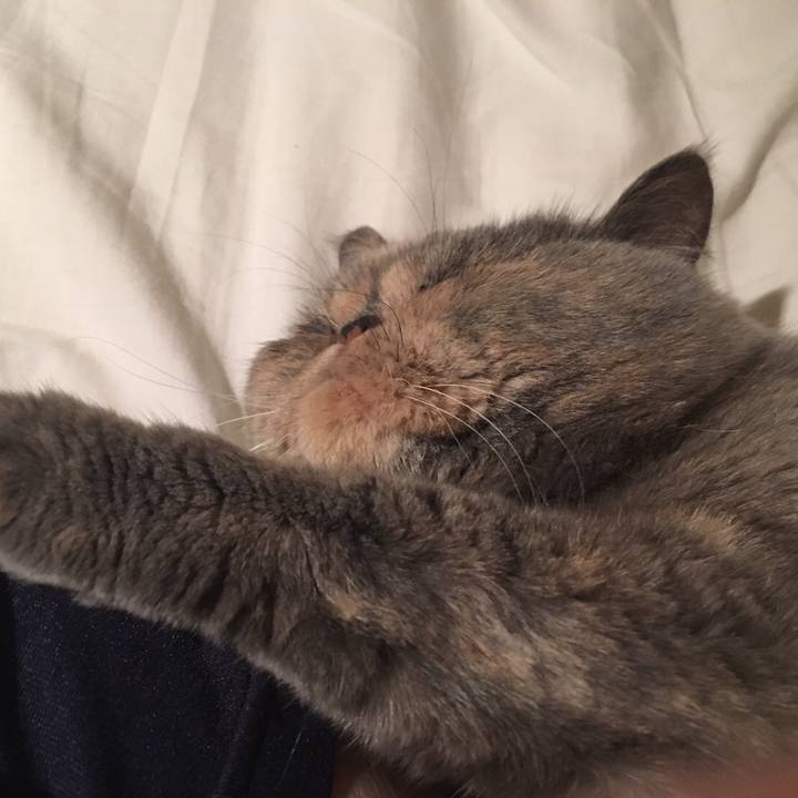 Adb6763e e297 4300 9535 aefe36341fb0