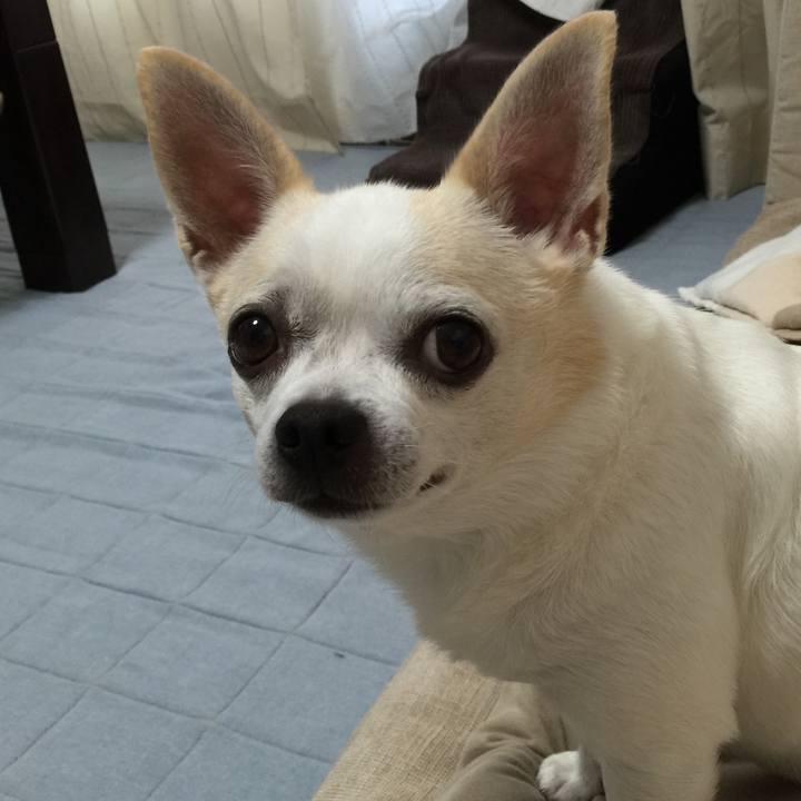 Adb6a13d eb0a 4016 b994 0cf4aa39e688