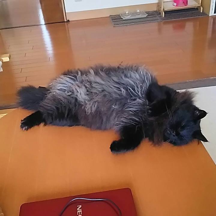 Adb6e151 8fad 4427 8b99 2cd61a57057b