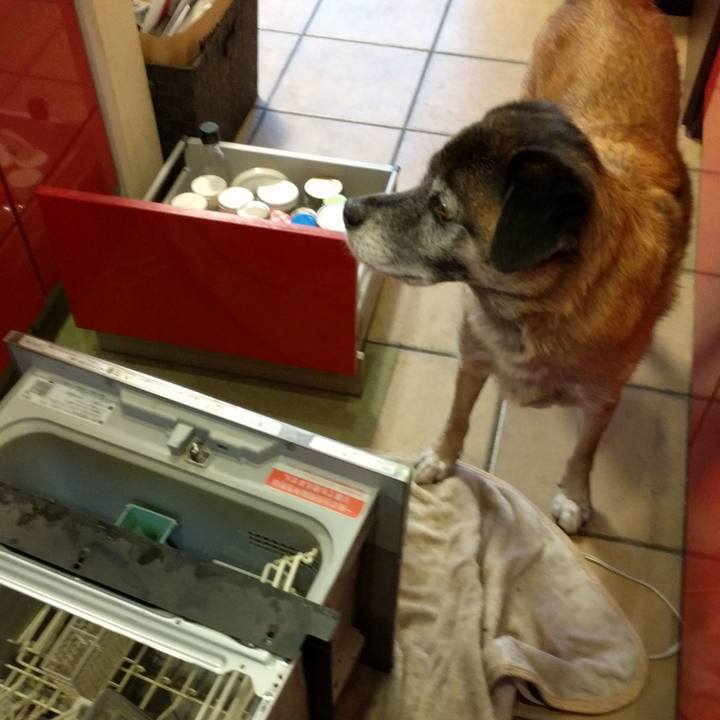 Adb6fd05 453f 4801 bab9 4d976b7c632a