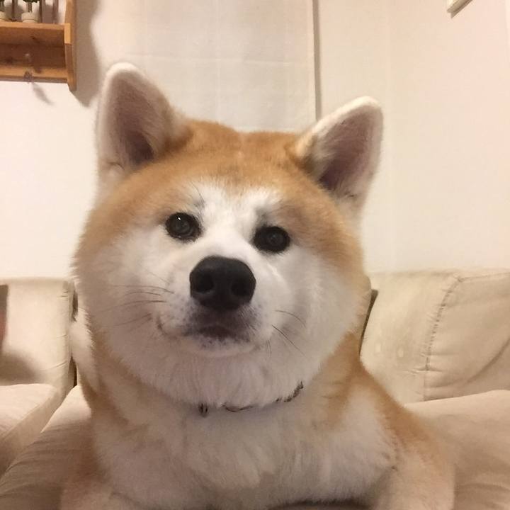 Adb72e74 0acc 4455 8fe6 0a51bac212ec