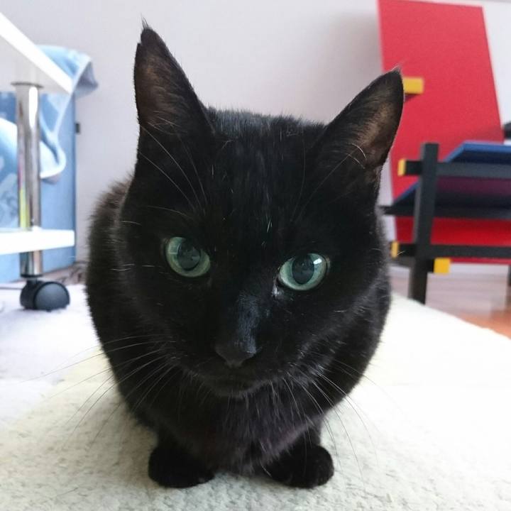 Adb77d5a edeb 44c1 b434 5ddac59f6299