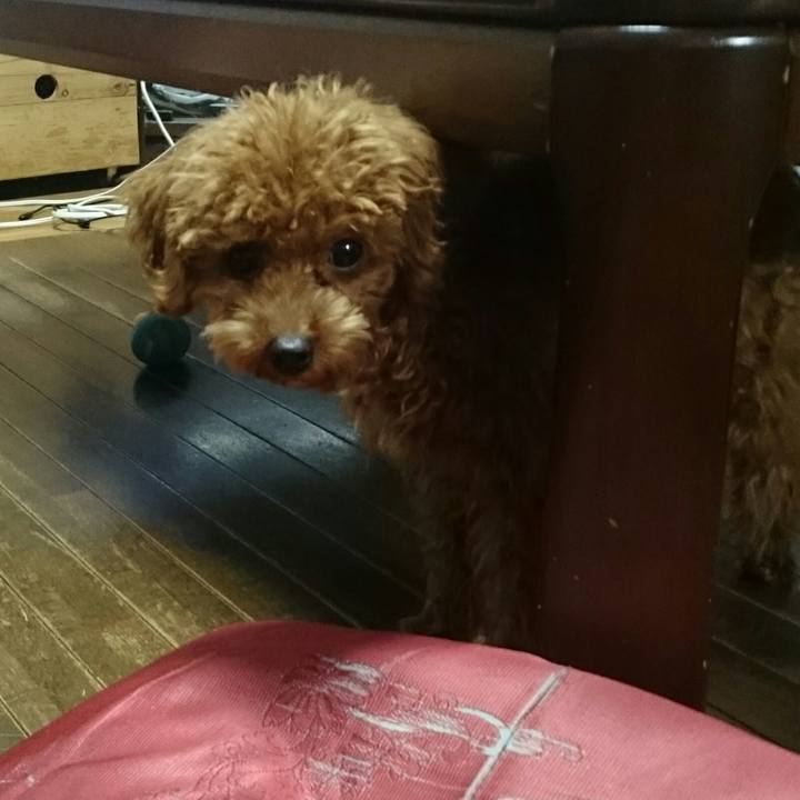 Adb7e0d4 b106 4975 bb96 3395b63635ec