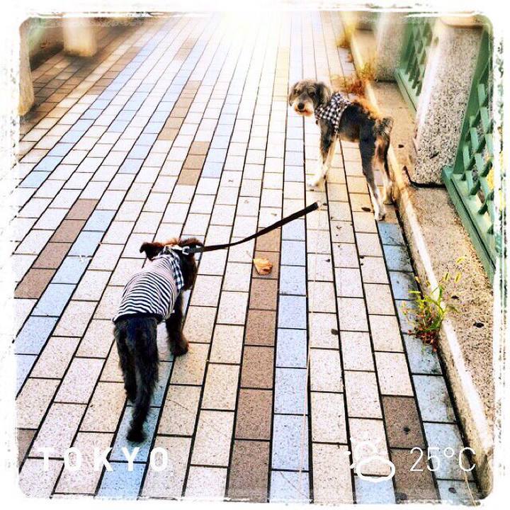 Adb88130 0a17 491b 99ad 21ceab5f431f