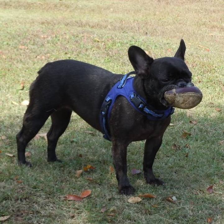 Adb8beba ee0a 4108 99ae a2a11218f77a