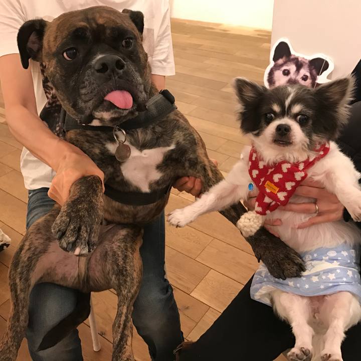 Adb8c9e0 dc04 4820 894b e37b95e6c46f