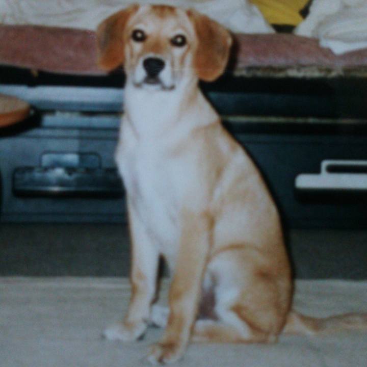 Adb90e5f aa5c 4f98 ad34 66f096435f20