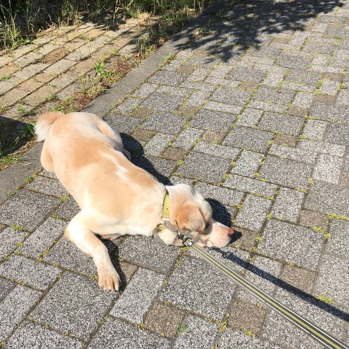 Adb93ee7 5b8f 438c 87c2 e179300622f9