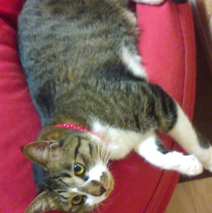 Adb961ca c4aa 4234 af66 0f73e026b5fa