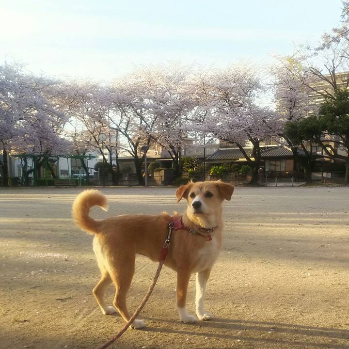 Adb9a911 8d2b 449e 8e6e c545c34f6912