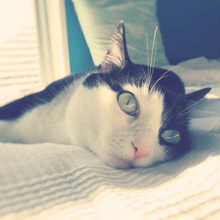 Adb9e40d 19af 4b37 9a8a 7223bee70422