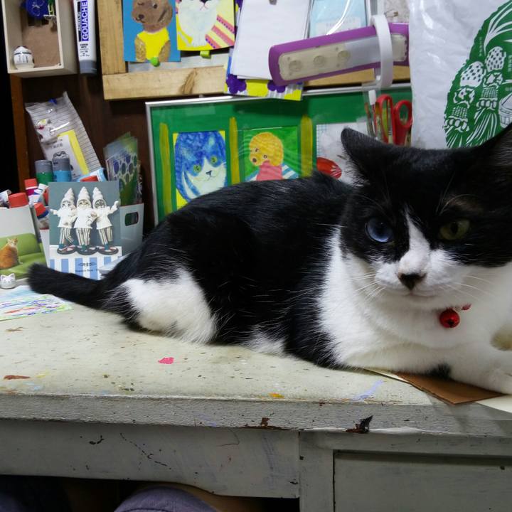 Adba6684 4d62 4314 8c86 6060d6b3d678