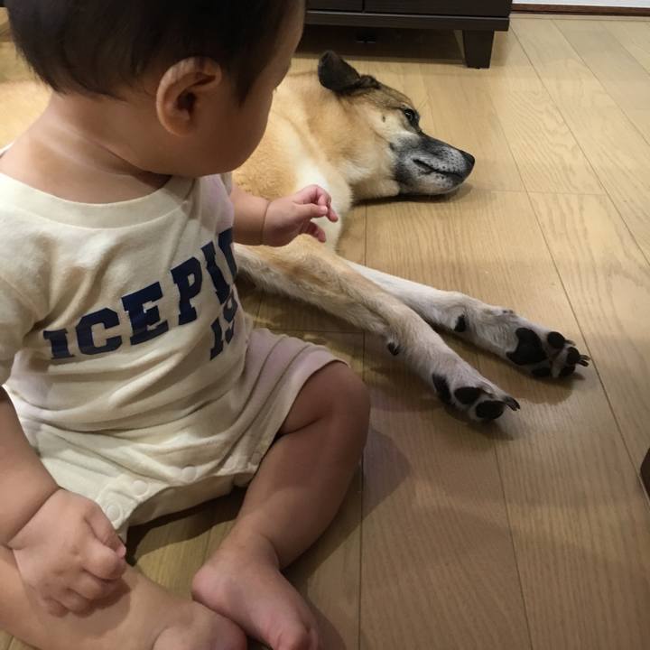 Adbae5ae 4cdf 4781 80e9 069a8f8c4217