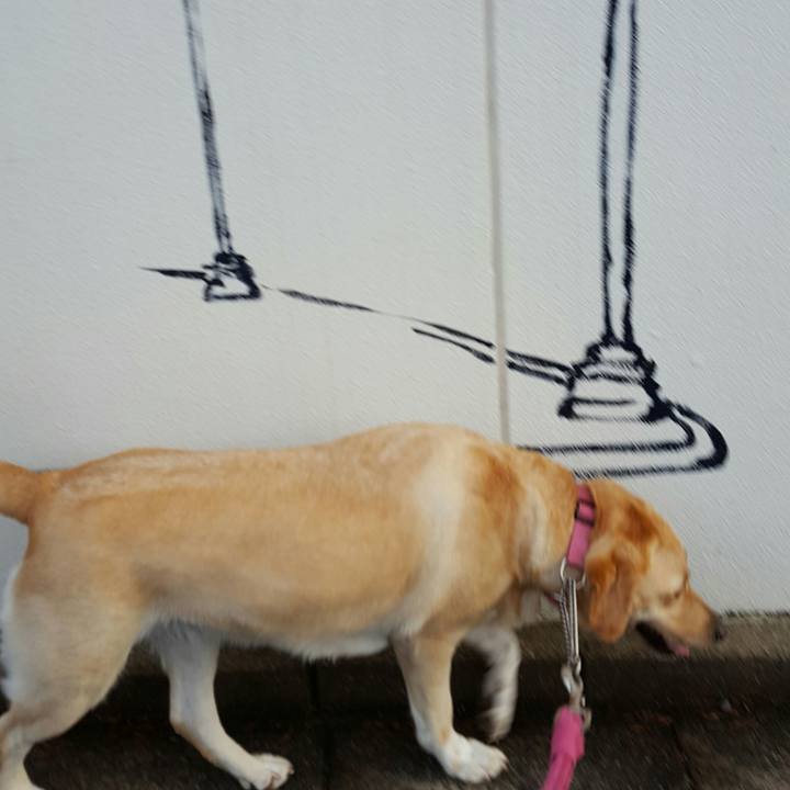 Adbb38bb 2020 4dea 8d54 48e0f8b4e1fe