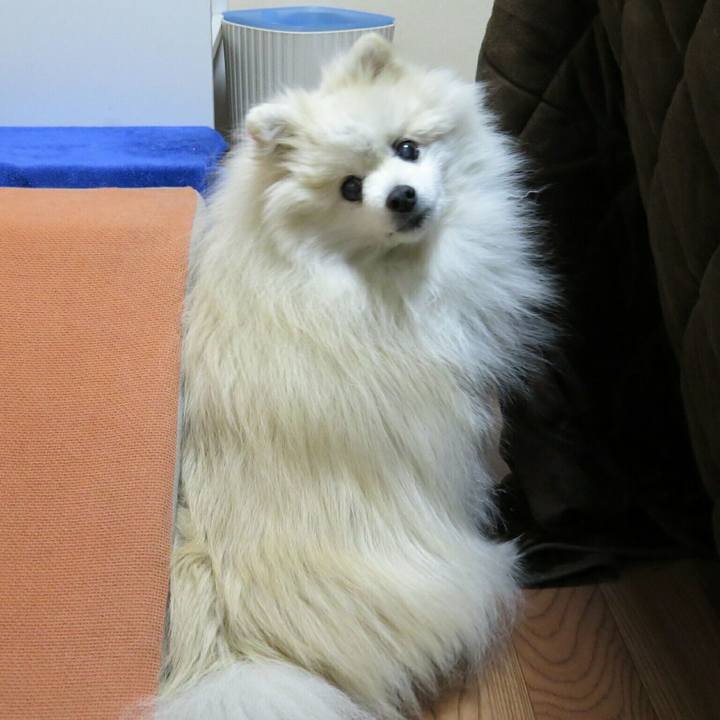 Adbb5251 b0f4 4f6b 8114 3755baebf8ec