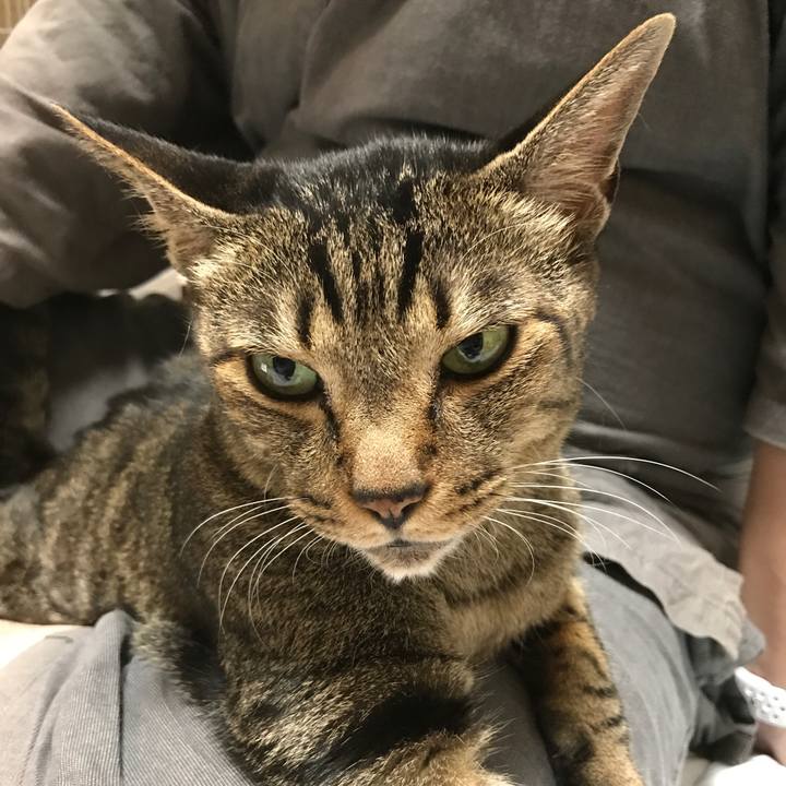 Adbc92d9 0db8 4787 aa58 7058878031d1