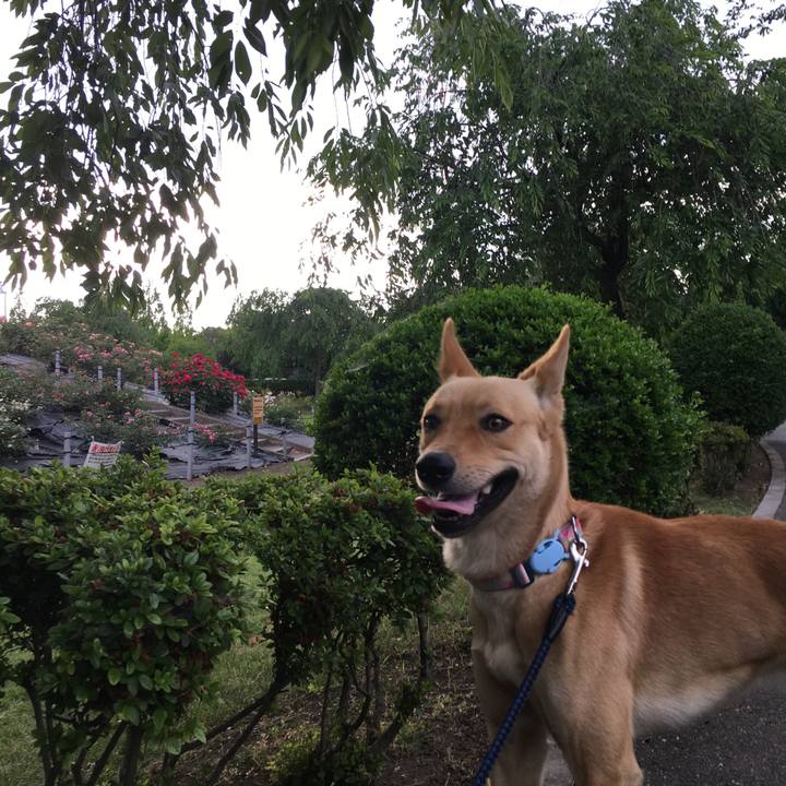 Adbca055 9858 4bf8 afd0 aba80c3d8e4f