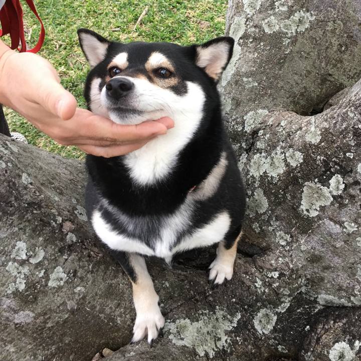 Adbd4597 9f7c 4fd6 89ff 5c7f0e127d43