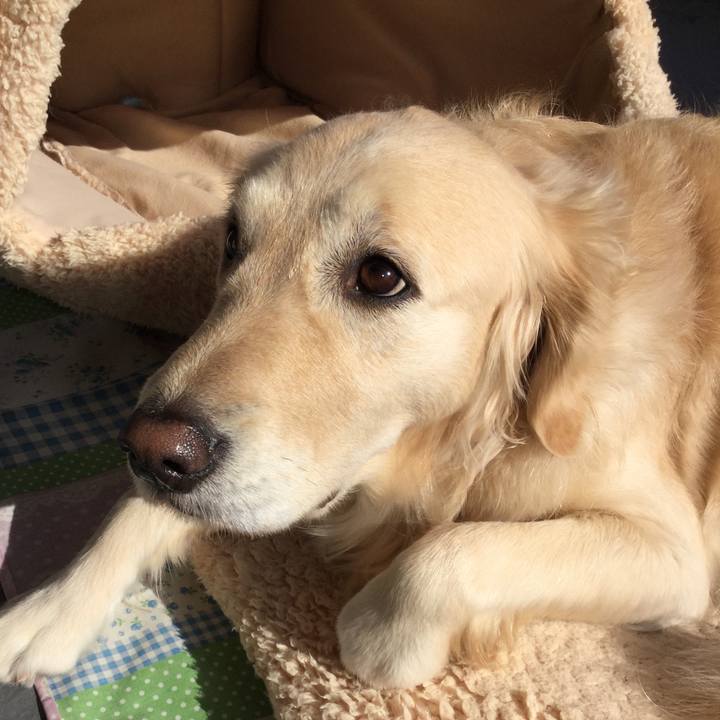 Adbdabbd d997 4e8e ba21 ec88beefa56e