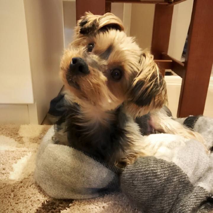 Adbddc25 50ea 4ab2 81c8 7a605cc50ca5