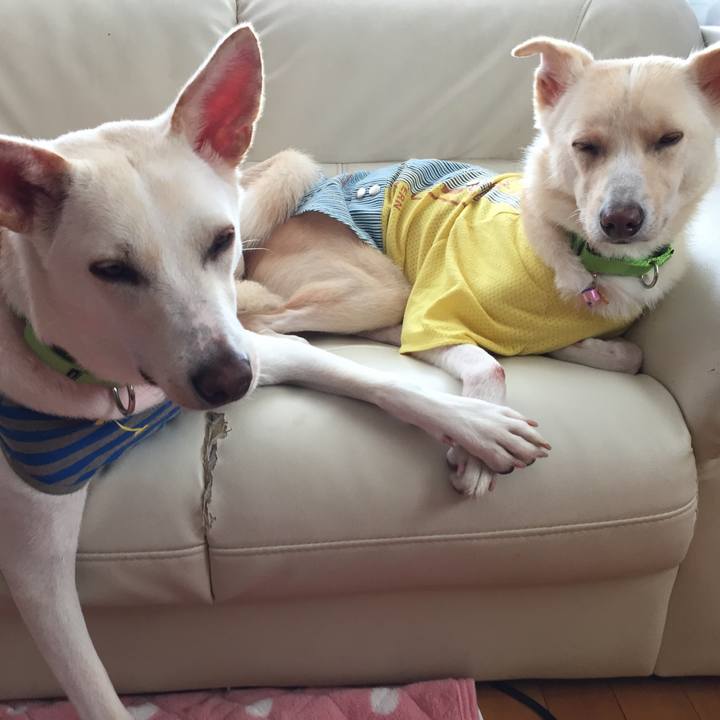 Adbdf002 918b 4585 98ae 620ecf63017d