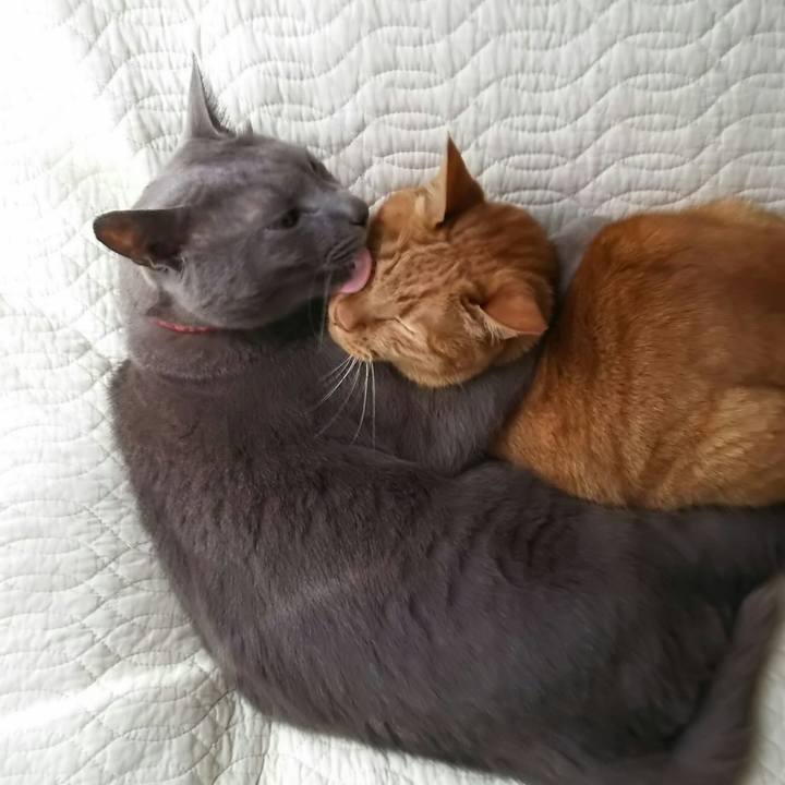 Adbe16f0 4d62 4156 924b 4eb847be9d63