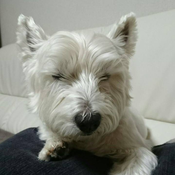 Adbe182c bb65 44f3 ba5b 95389f8f26e0