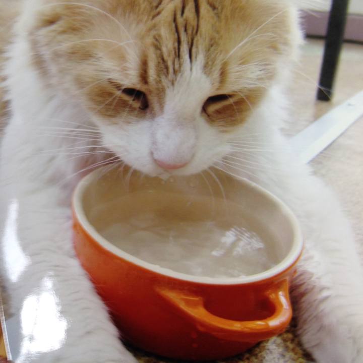 Adbe59ce 569d 4713 914e 0a929c79b452