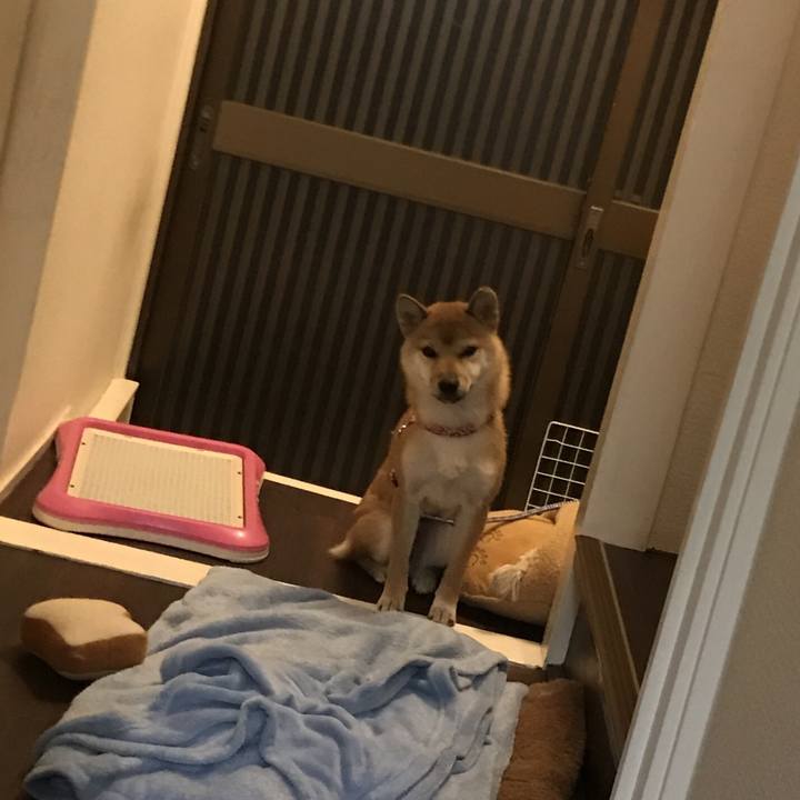 Adbe7d76 f758 4299 840b 13f293af8f8d