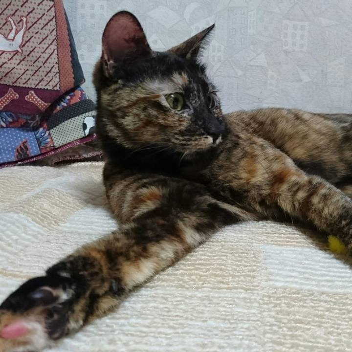 Adbedd94 c5a9 4b07 8cd4 88129e6c97b5