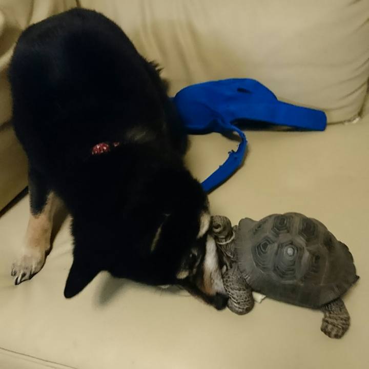 Adbf42ce 9916 49f1 b0be ae201529300c